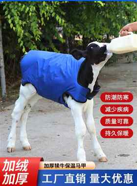 牛犊马甲小牛加厚防寒马甲牛犊子保暖防水棉衣养牛场犊牛保温衣服