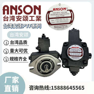 11S 10安颂ANSON油泵PVF 10S 11叶片泵 PVF