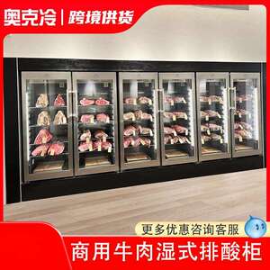 牛肉熟成柜干式和牛排酸柜西餐烤肉冷藏火腿恒温冷冻红酒柜展示柜
