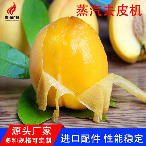黄桃蒸汽脱皮机马铃薯去皮机红薯削皮机源头厂家直供商用脱皮设备