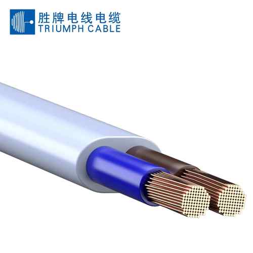 胜牌H03VVH2-F扁线2芯0.5~0.75平方VDE电源线插头线PVC护套线