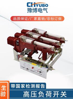 FZRN25-12DT125FZN25-10真空负荷开关12V10V户内高压负荷开关