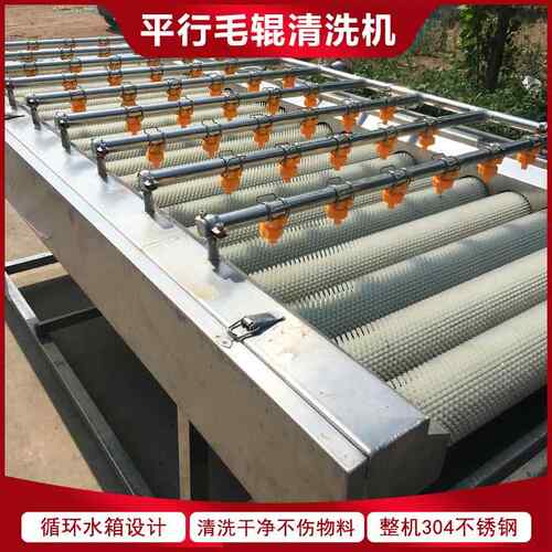 商用萝毛辊清洗设备大毛姜辊清洗机连续式毛辊桃卜YPP平行毛清洗