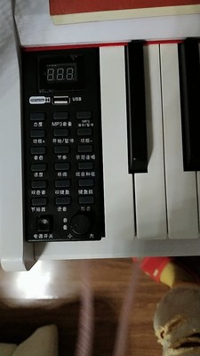 业界评测罗萨电钢琴怎么样?音质音色好不好呢?