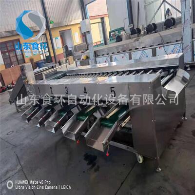百香果分级机选果机水果分级机果蔬设备果农果园源头工厂