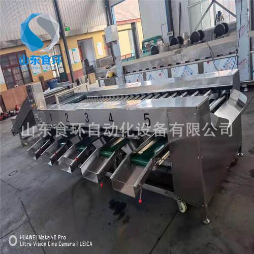 椰枣清洗分级机水果分选机槟榔冬枣筛选设备果蔬设备
