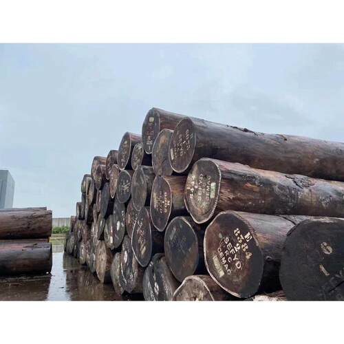 厂家直销大比马 大比马原木 非洲菠萝格腺瘤豆张家港广润木业有限