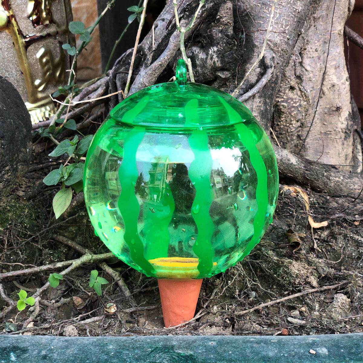 新款水果西瓜造型小型自动浇花器家用植物盆栽多肉滴灌渗水器灌溉