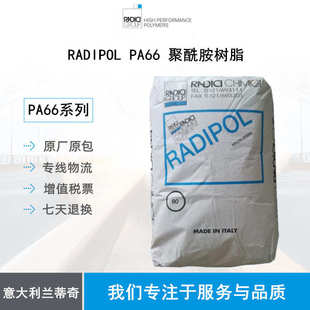 ARV300RKC 聚酰胺 加纤30 热稳定 电子电器应 耐水解 兰蒂奇PA66