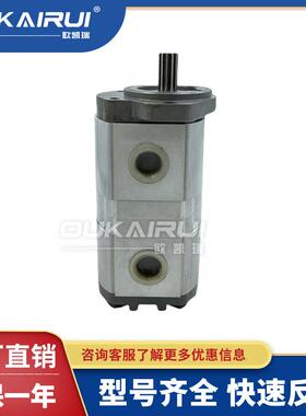 凯斯帕CASAPPA液压齿轮泵PLP20-4/6.3/7.2/8/9/10.5/11.2/14/16