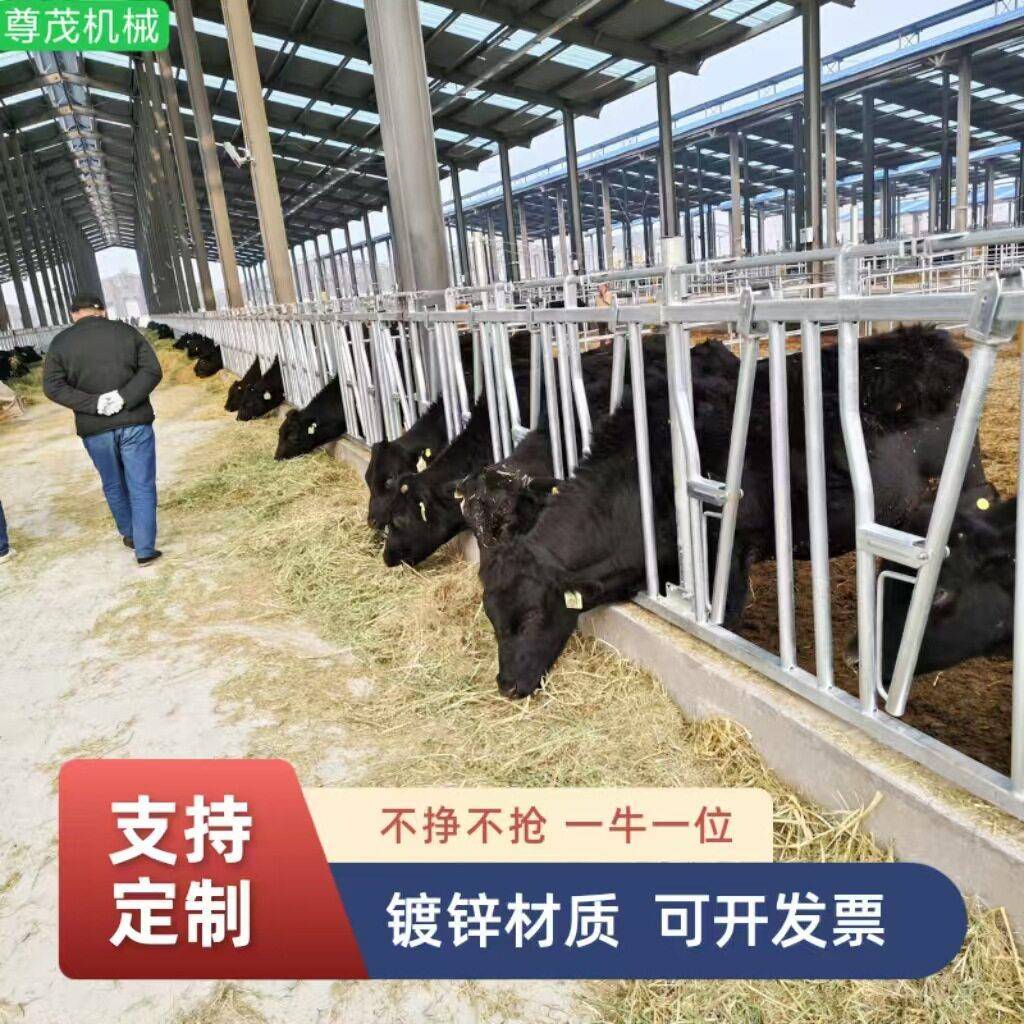 牛颈枷牛护栏厂家供应牛位栏牛颈夹价格公道自锁式牛颈枷畜牧机械