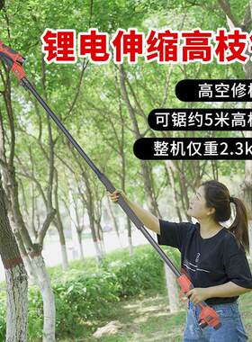 中村一郎锂电伸缩高枝锯树锯子专用电锯修枝锯电动高空修树电炼锯