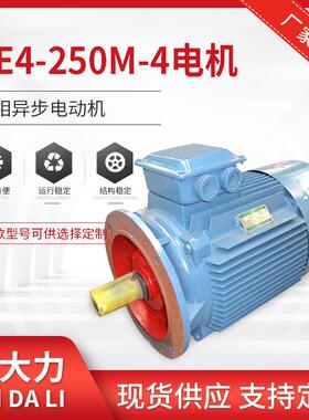 大量YE4-250M-4-55W三相异步电动机2.4.6.8.10级防爆电机