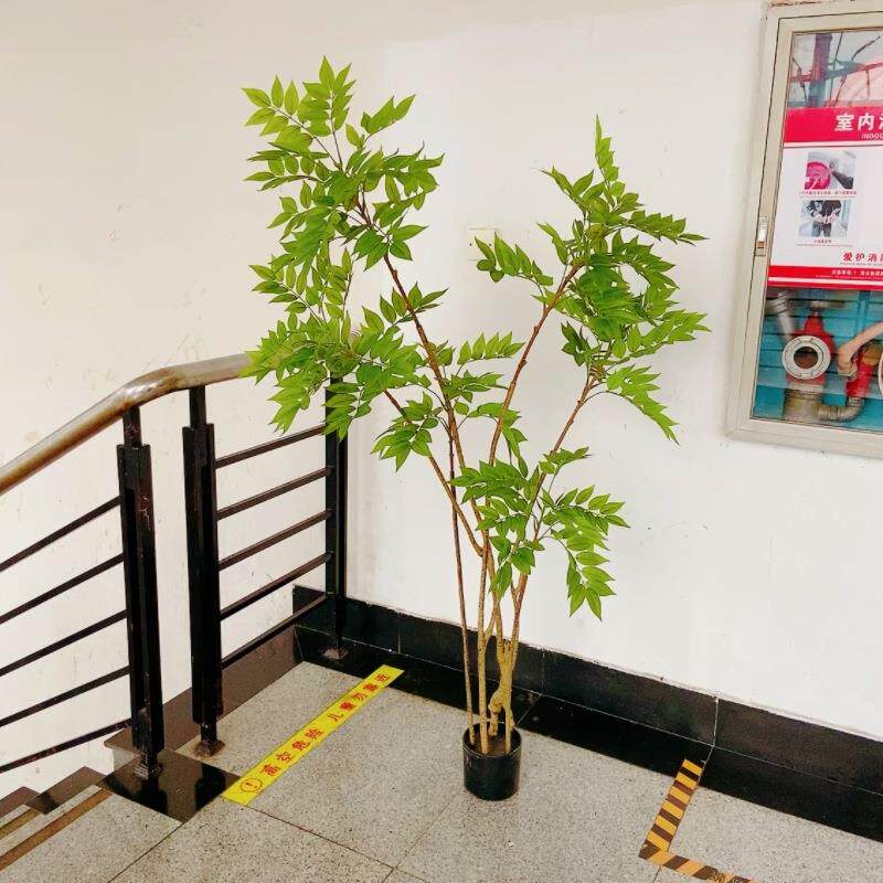 仿真香椿树 大型落地装饰绿植盆栽 室内家居摆件假树橱窗植物盆景