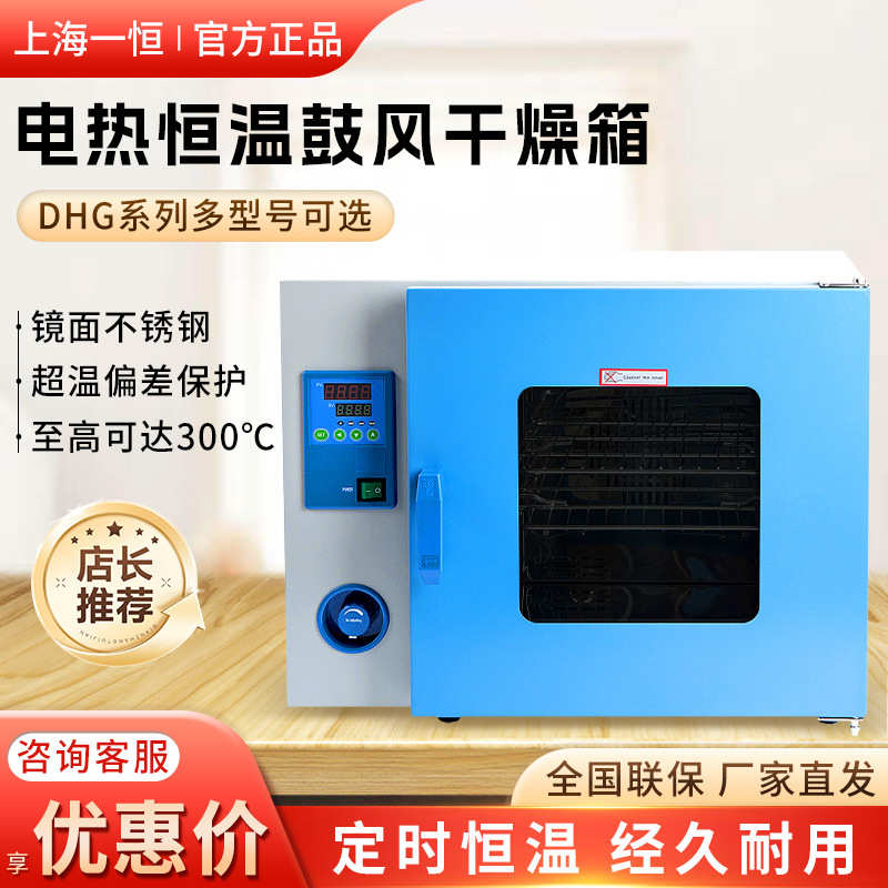 恒温实验室烘箱干燥箱上海  鼓风工业系列 鼓风一干燥箱恒dhg电热图片