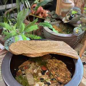 仿真木板古法养鱼水缸不发霉不发黑不腐烂防水防晒仿真竹排仿石板