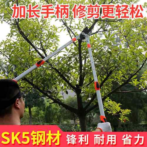 新款直销伸缩大力剪粗枝剪 园林果树剪 省力修枝剪高枝粗枝剪