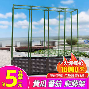 新款 H型阳台蔬菜种植爬藤架家庭园艺环保爬藤架子 直杆支架直排款