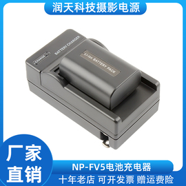 适用莱彩np-fv5电池充电器，hd-900hd-560s摄录像dv机电，池座充电器