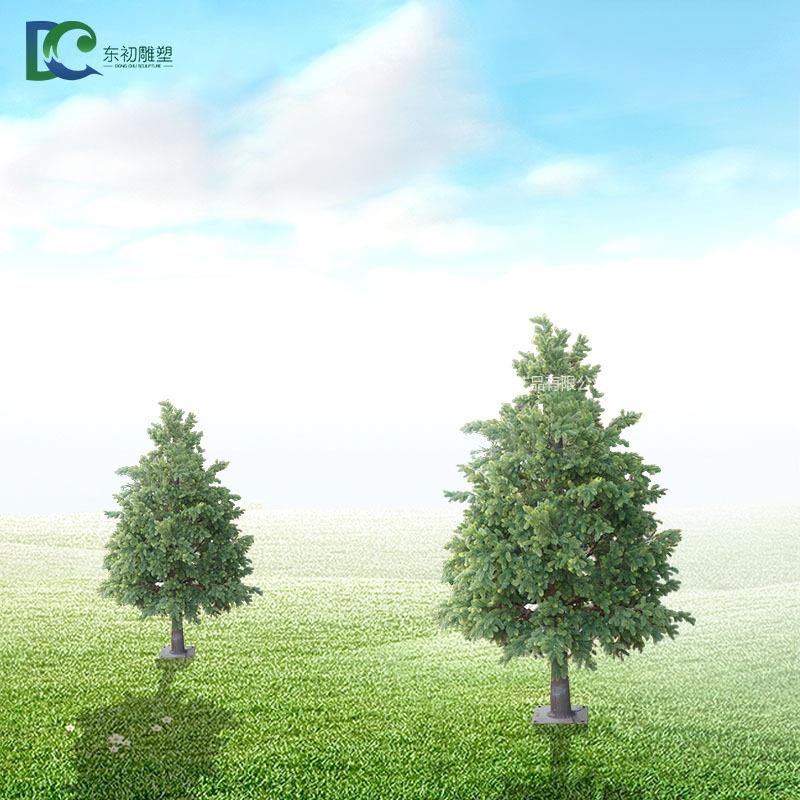 南洋杉盆栽室内外观赏绿植盆栽南洋杉四季常青观赏绿植厂家直销