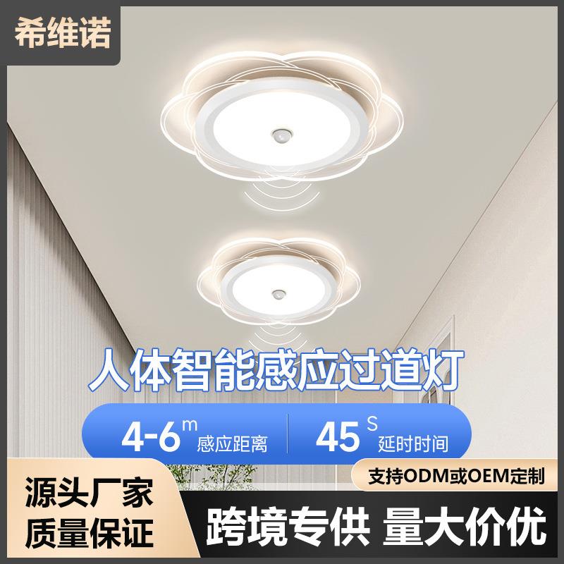 全光谱简约现代led人体智能感应灯过道灯走廊楼道玄关灯具亚克力