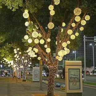 led藤球灯装饰灯户外圆球灯景观灯挂树球灯街道亮化彩灯星球造型