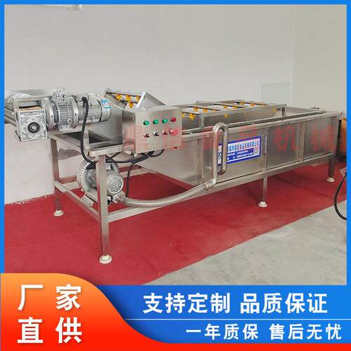 杏鲍菇清洗加工设备 定制菌类清洗机 裙带菜气泡清洗机  鼎信机械