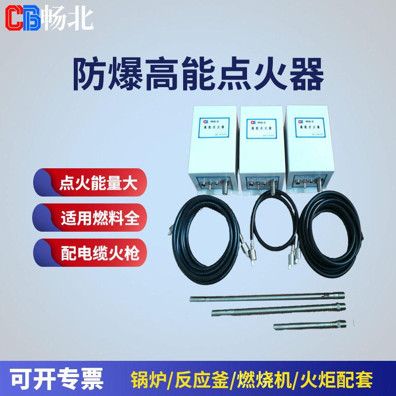 工业炉点火器220V接电输出2500V压脉冲点火器远程能点火器