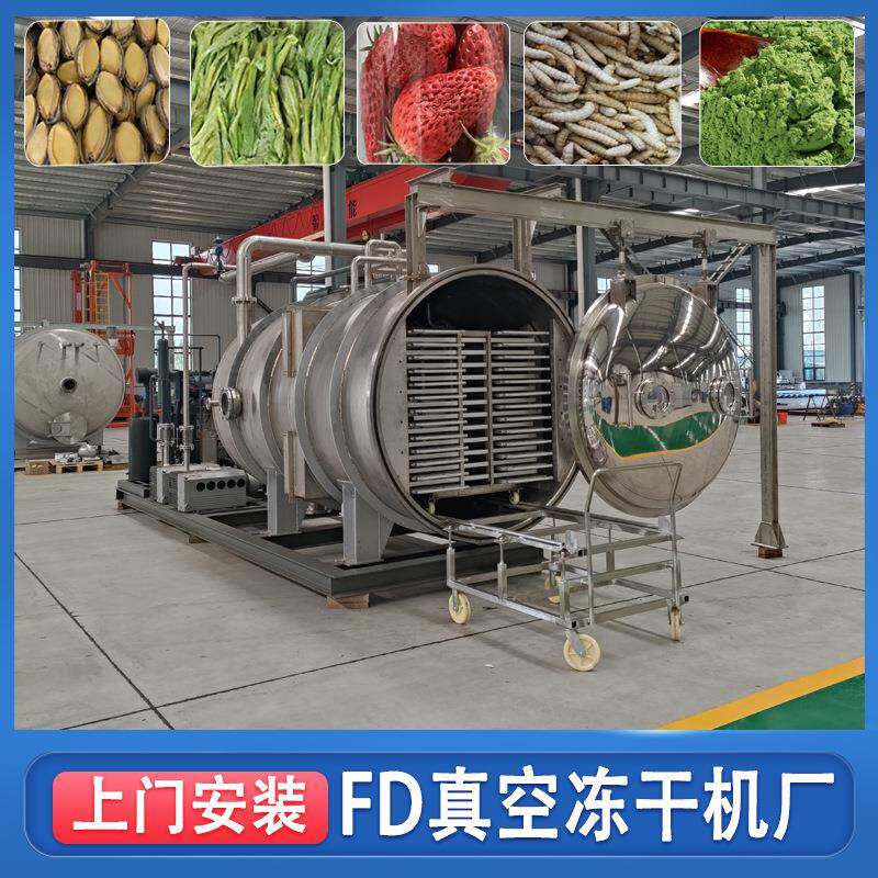 冷冻干燥机苹果柠檬片真空冻干机加工冻干茶粉设备脱水干燥机