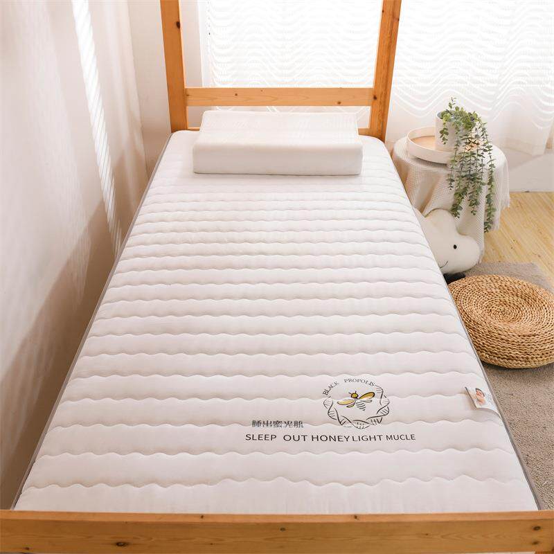 垫子软垫学生宿舍床垫单人冬夏两用一面藤席榻榻米垫软垫批发