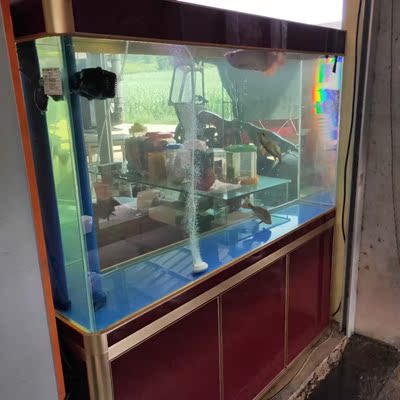 德国德克鱼缸水族箱真实使用体验反馈，不吹不黑点评真相