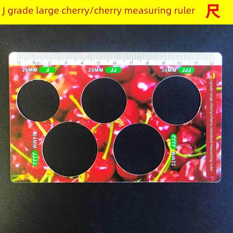 山东大樱桃果径测量尺塑料卡尺车厘子标准卡尺果径尺蓝莓鲜果分级