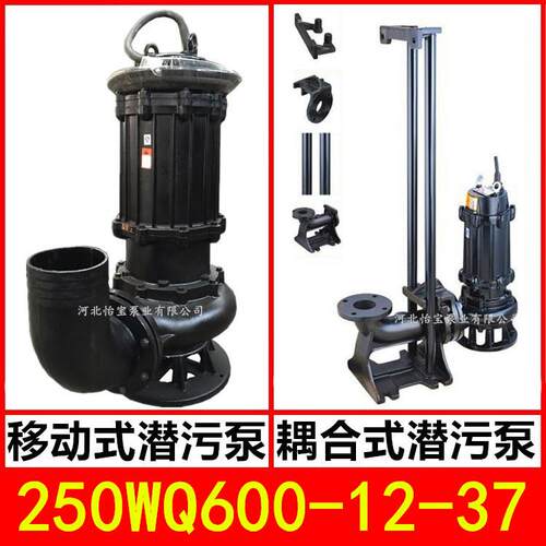 250WQ600-12-37KW潜水泵污水泵JYQW搅匀潜污泵排污雨水排涝泵10寸