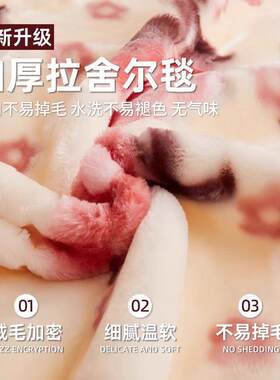 拉舍尔秋冬季加厚毛毯铺床沙发单人小被子结婚陪嫁高端床上用盖毯