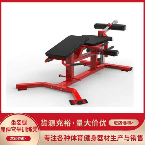商用坐姿腿屈伸训练凳哑铃凳飞鸟凳力量弯举练腿股四头肌训练器
