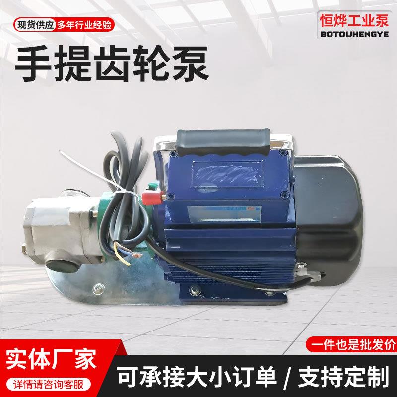 现货供应手提齿轮泵微型卸柴油液压机油24v220v高粘度电动抽油泵