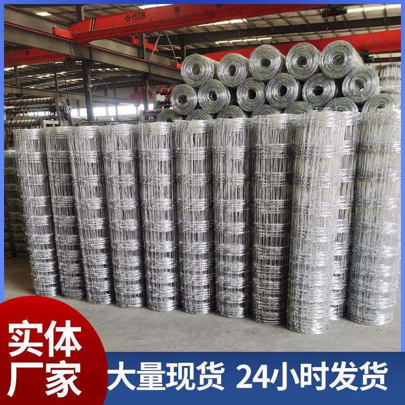 热镀锌铁丝网防锈围栏网牛栏网养殖网拦牛羊果园防护圈地网圈山网