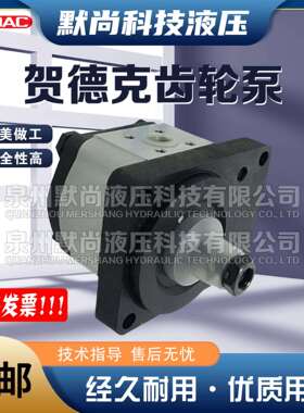 贺德克HYDAC齿轮泵PGE102-1400/1500/1600/1730/1900/2200-RBR1-N