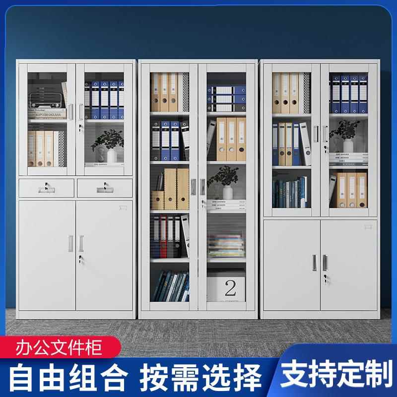 文柜室资料柜铁皮档案柜财务多层凭证ZS-001柜公带锁矮柜办收纳件
