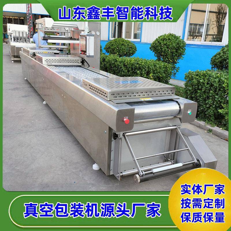 豆腐块全自动拉伸膜真空包装机冻豆腐真空包装设备豆腐包装机