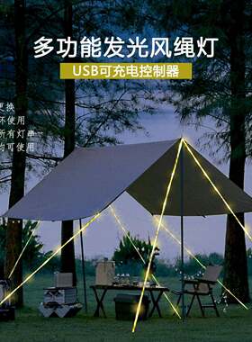 WOW定制USB充电防风绳露串带遥灯控户外营天灯幕帐篷氛围防BAR绊