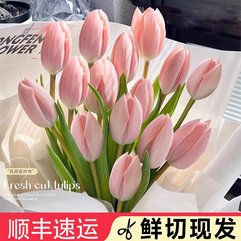 郁金香鲜花云南基地直发水培鲜切花手捧花束摆件重瓣花卉家用插花