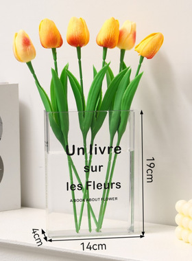 仿书本亚克力花瓶简约艺术小众家居装饰餐桌花瓶水培房植物花瓶