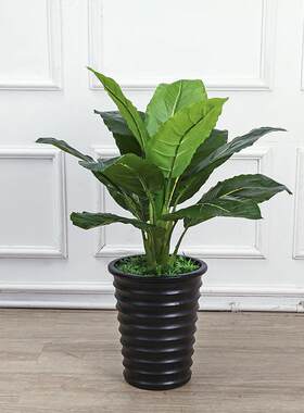 室内仿真植物大叶绿钻万年盆景布景配绿植装饰盆栽客厅落地塑料花