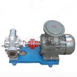 沥青保温泵 NYP高粘度泵 供应 不锈钢齿轮泵