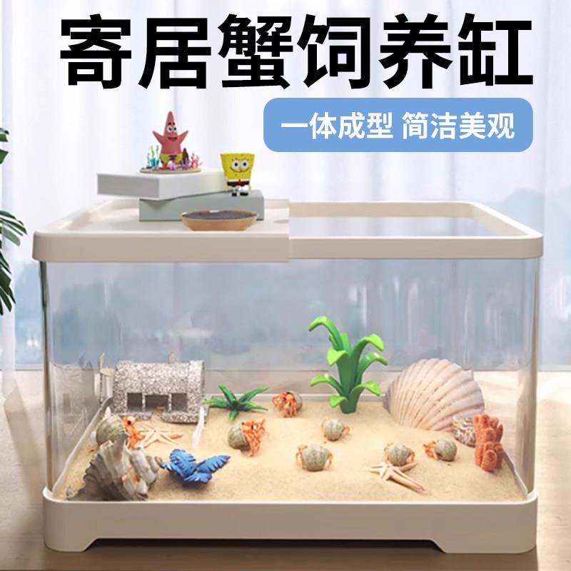 寄居蟹饲养缸生态造景相守螃蟹缸带盖子防逃逸小型爬宠乌龟养殖箱图片