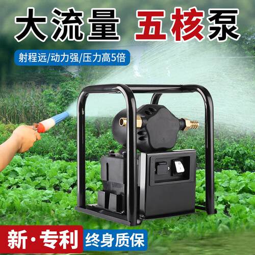 充电式抽水泵大流量农用浇地灌溉浇菜户外抗旱大功率井水自吸