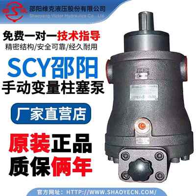 适用邵阳维克液压轴向柱塞泵SY-10/25/32/40/63/80/100/125SCY14-
