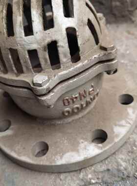 厂家供应 法兰连接 铸钢底阀出水底阀H42X-40C dn200