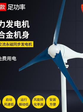 出口0款水平风机300WPAF小型风力发电5机0W